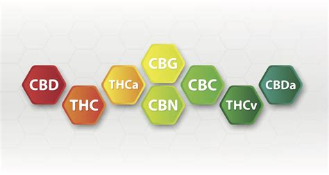 THC Vs THCA: Knowing The Differences | Elevate Holistics