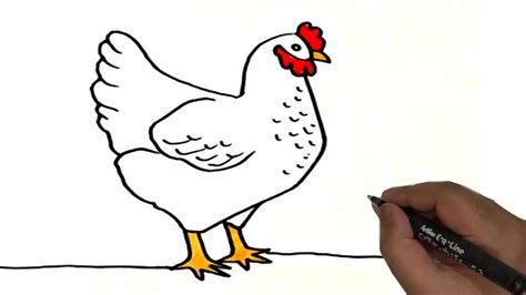 Como Dibujar Una Gallina I How To Draw A Hen Youtube – Otosection