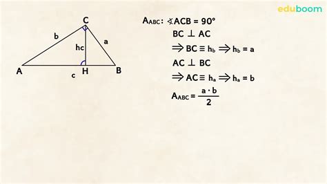 Aria triunghiului. Matematica clasa a 7-a