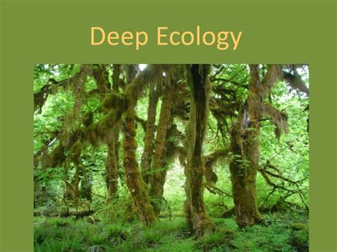 PPT - Deep Ecology PowerPoint Presentation, free download - ID:844434