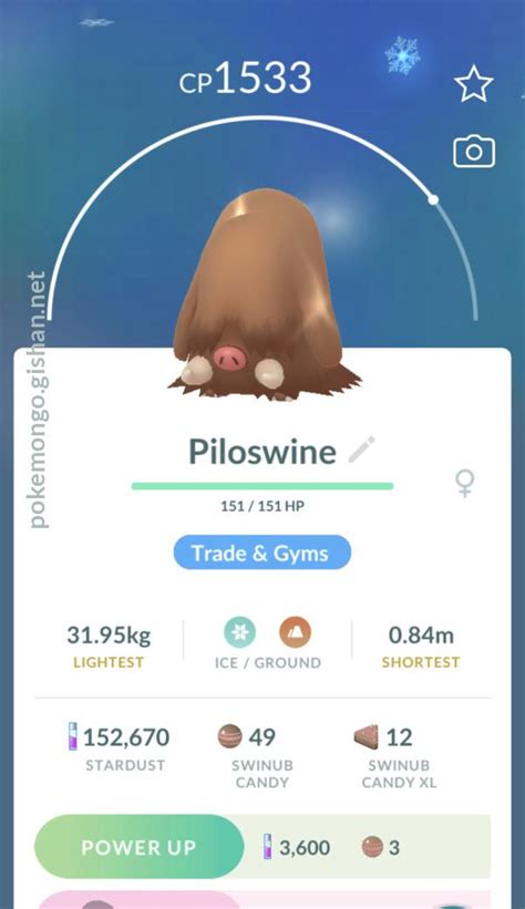 Piloswine - Pokemon Go