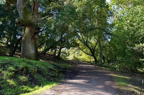 East Bay Trails - Trail Notes - Briones Regional Park - Mott Peak Hike