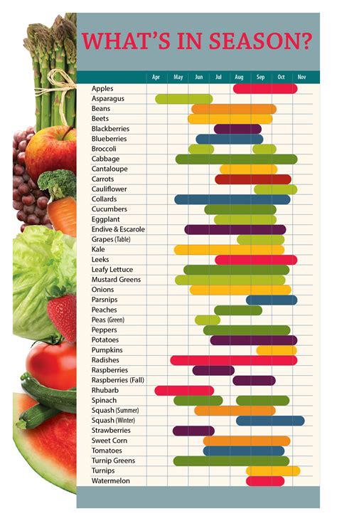 What's In Season in Ohio | Season fruits and vegetables, Growing fruit, When to plant vegetables