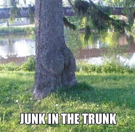 Tree Puns | Funny Tree Memes