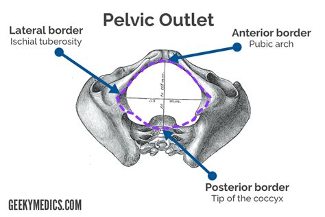 Mechanism of Labour - OSCE Guide | Geeky Medics