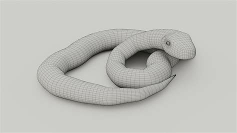 ArtStation - Python Snake - Low Poly - Game Ready - PBR | Game Assets