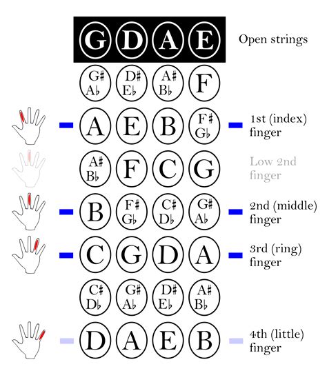 Violin - Wikipedia, the free encyclopedia | Violin fingering chart ...