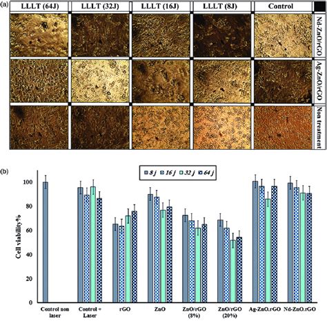 (a) Optical images of the MCF7 cells incubated with 12.5 mg.mL À1 of ...