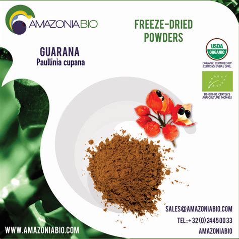 Organic Guarana Powder | Ekowarehouse