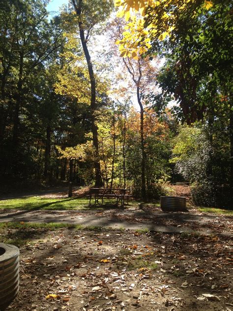 Hayes State Park Campground Irish Hills Michigan | State parks, Escape ...