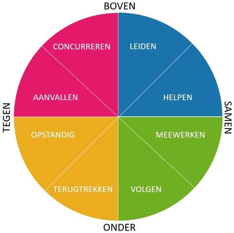 Roos van Leary - uitleg - test - gebruik