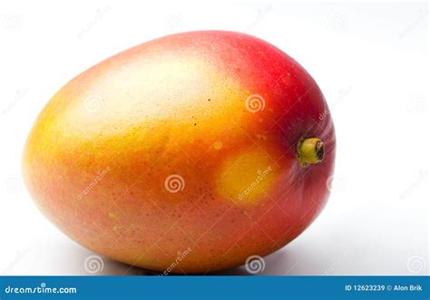 Single Mango Fresh Juicy Ripe Tropical Fruit Royalty Free Stock Images - Image: 12623239