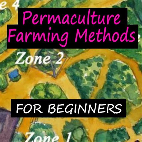 Easy Permaculture Farming Methods for Beginners