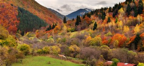 National Parks in Bulgaria - 3 Bulgarian National Parks to Visit