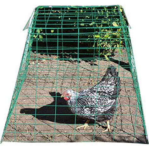 PYRAMID WIRE POULTRY CAGE