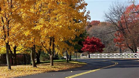 Fall foliage in Hudson Valley: What colors you can see this weekend