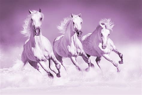 Pink Horses Wallpaper - Buy Stunning Horse Themed Wallpapers at Happywall