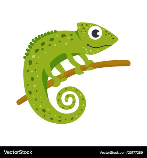 Chameleon Clipart Vector