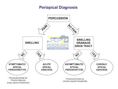 The Endo Blog: Pulpal & Periapical Diagnosis