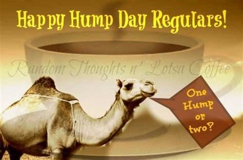 one hump or two Wednesday Memes, Wednesday Greetings, Wednesday Coffee ...