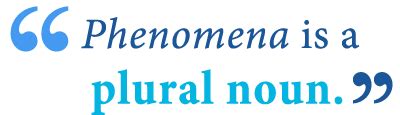 Phenomenon vs. Phenomena – What’s the Difference? - Writing Explained