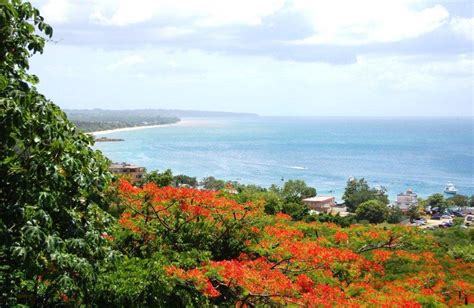 A VIEW OF MAYAGUEZ CITY FROM THE TOP OF MOUNTAIN | Puerto rico pictures ...