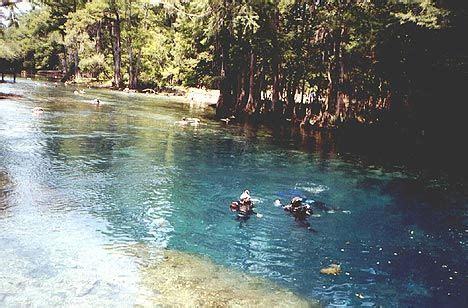 Manatee Springs - Scuba diving this Florida State park spring | State ...