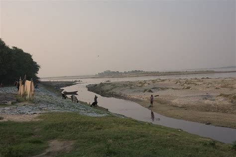 How industrial waste, govt apathy are killing the Ganga in Kanpur