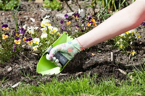 Hand Digger: Ergonomic Tools Make Gardening Easier for People with ...