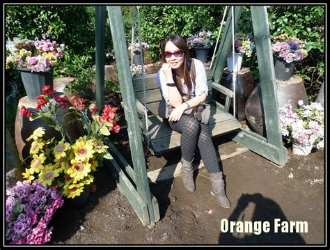 Jeju Orange Farm | 悠游FUN