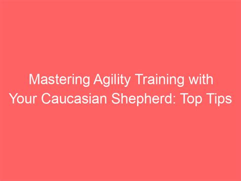 Mastering Agility Training with Your Caucasian Shepherd: Top Tips - Big ...