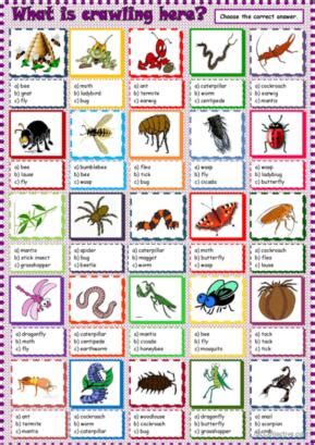 7 Crawl English ESL worksheets pdf & doc