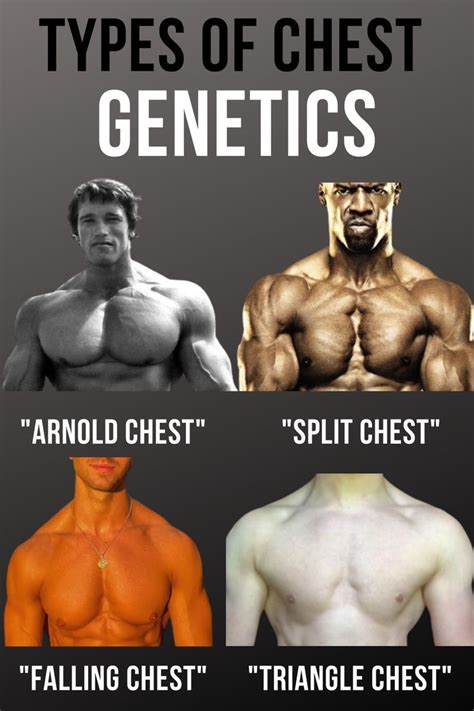 Type Of Chest Genetics | How to get abs, Gym tips, Health fitness