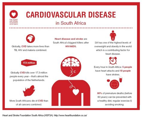 Cardiovascular disease – preventable, avoidable and unnecessary! | The ...