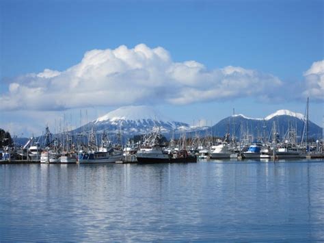 Sitka, Alaska Tours | Sitka Wildlife Tours