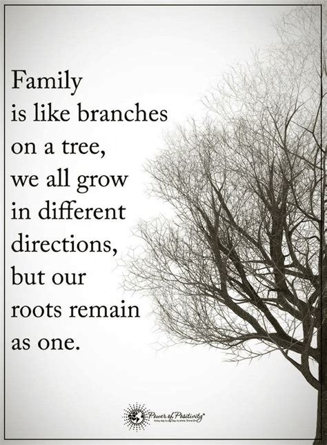 Family is like flowers in a pot, all have the same roots | Quotes | Family quotes tattoos, Roots ...