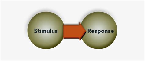 Stimulus Response “ - Stimulus–response Model - Free Transparent PNG ...