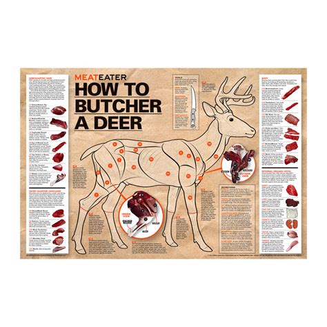 Deer Butchering Chart