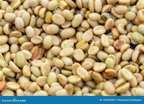 Natural Organic Green Coffee Beans Stock Image - Image of brewed, coffe: 143492289