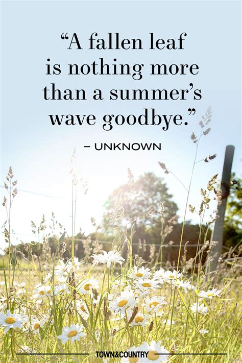 30+ Best End of Summer Quotes - Beautiful Quotes About the Last Days of ...