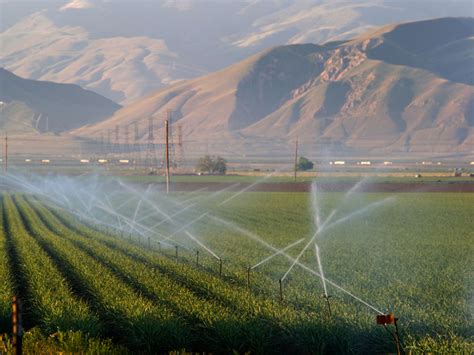 Imperial Irrigation District signs off on Salton Sea Agreement | Agri-Pulse Communications, Inc.