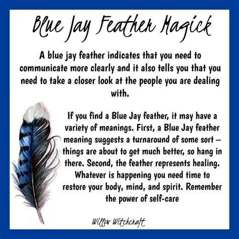 Blue Jay Feather Magick | Feather color meaning, Feather magic, Feather ...