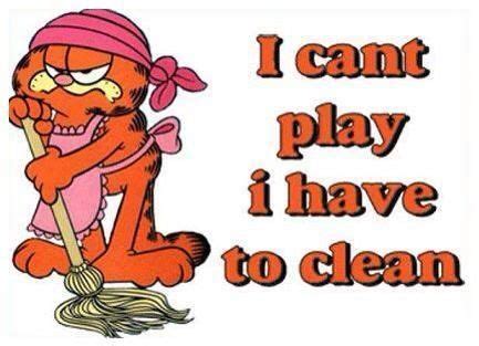 Funny Garfield Cleaning Quotes