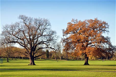 Couples / Enfield Town Park | Town Park came into public own… | Flickr