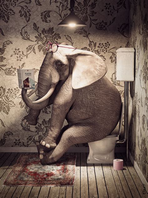 Künstlerische Illustration | Elephant on toilet reading a book, funny animal wall art | Europosters