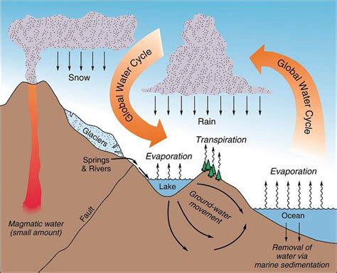 The Global Water Cycle