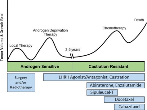 Figure 1, [Prostate cancer progression and treatment...]. - Prostate ...