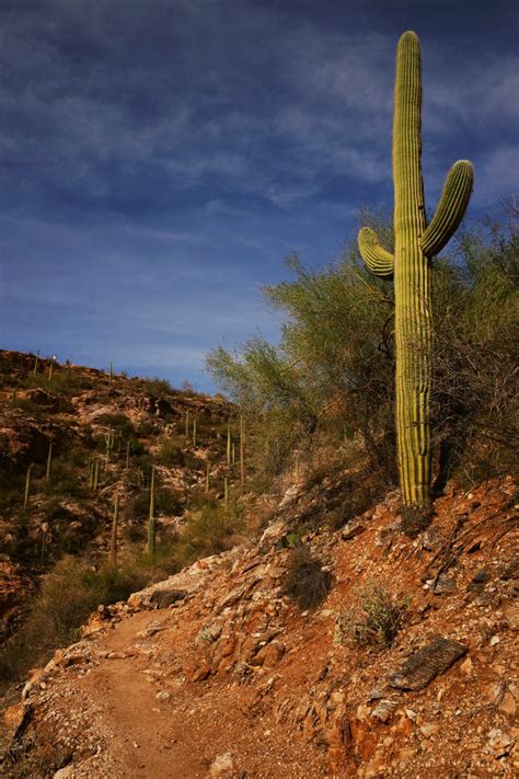 Sabino Canyon - Justinsomnia