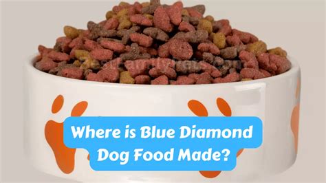 Where is Blue Diamond Dog Food Made? - Best Family Pets