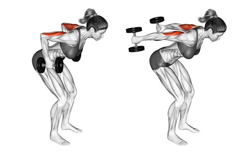 Dumbbell Tricep Kickbacks: Benefits, Muscles Worked, and More - Inspire US